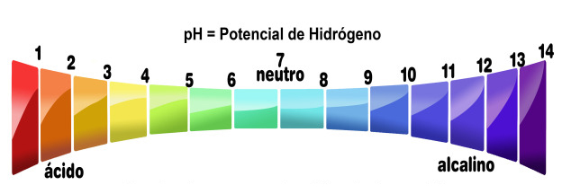 enlazar moco entrevista Cómo seleccionar de indicadores de pH - Farbe Naturals I